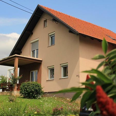 Studio Apartman Lakasa Раковица Екстер'єр фото